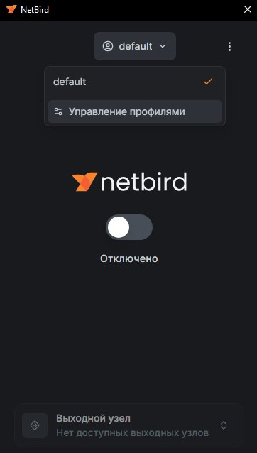Меню профиля NetBird